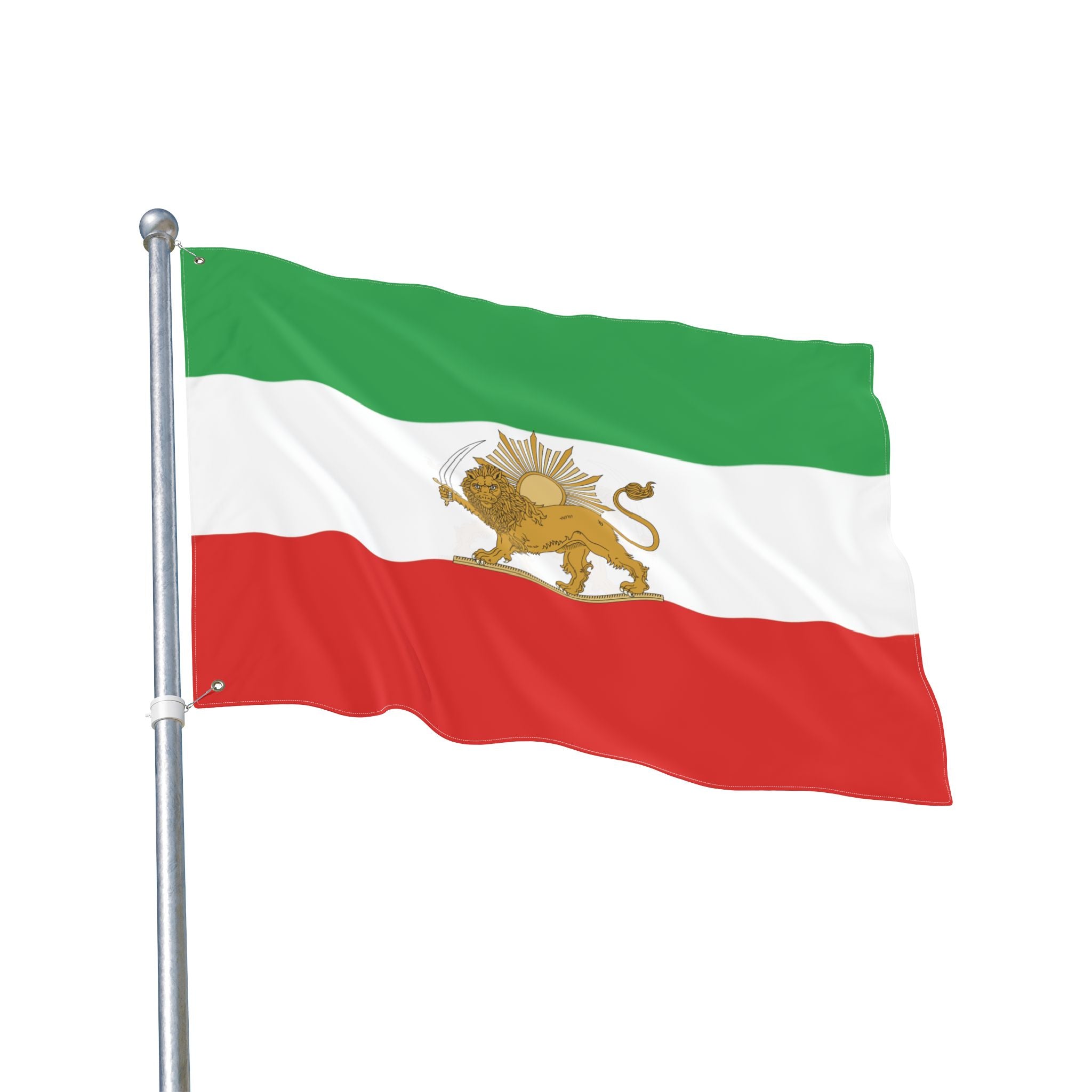 Detailed Lion and Sun Large Flag