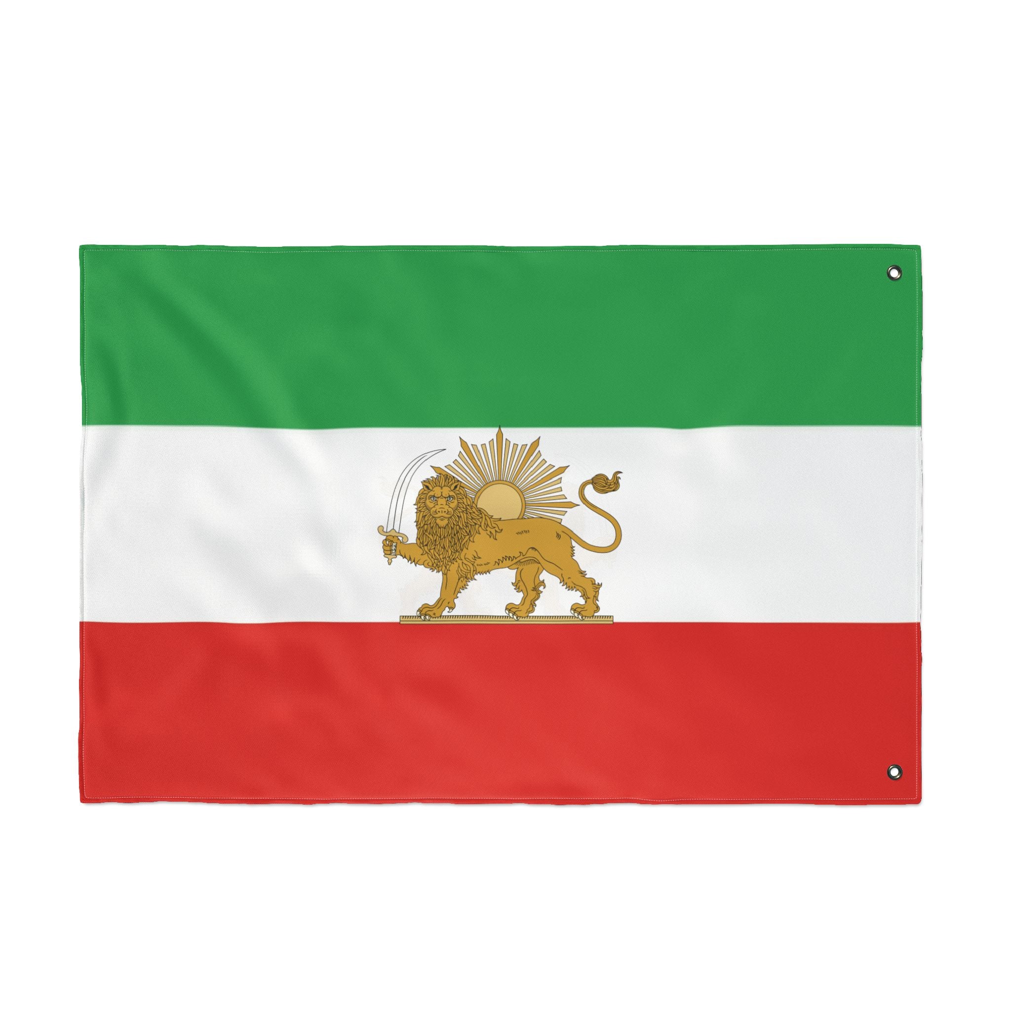 Detailed Lion and Sun Large Flag