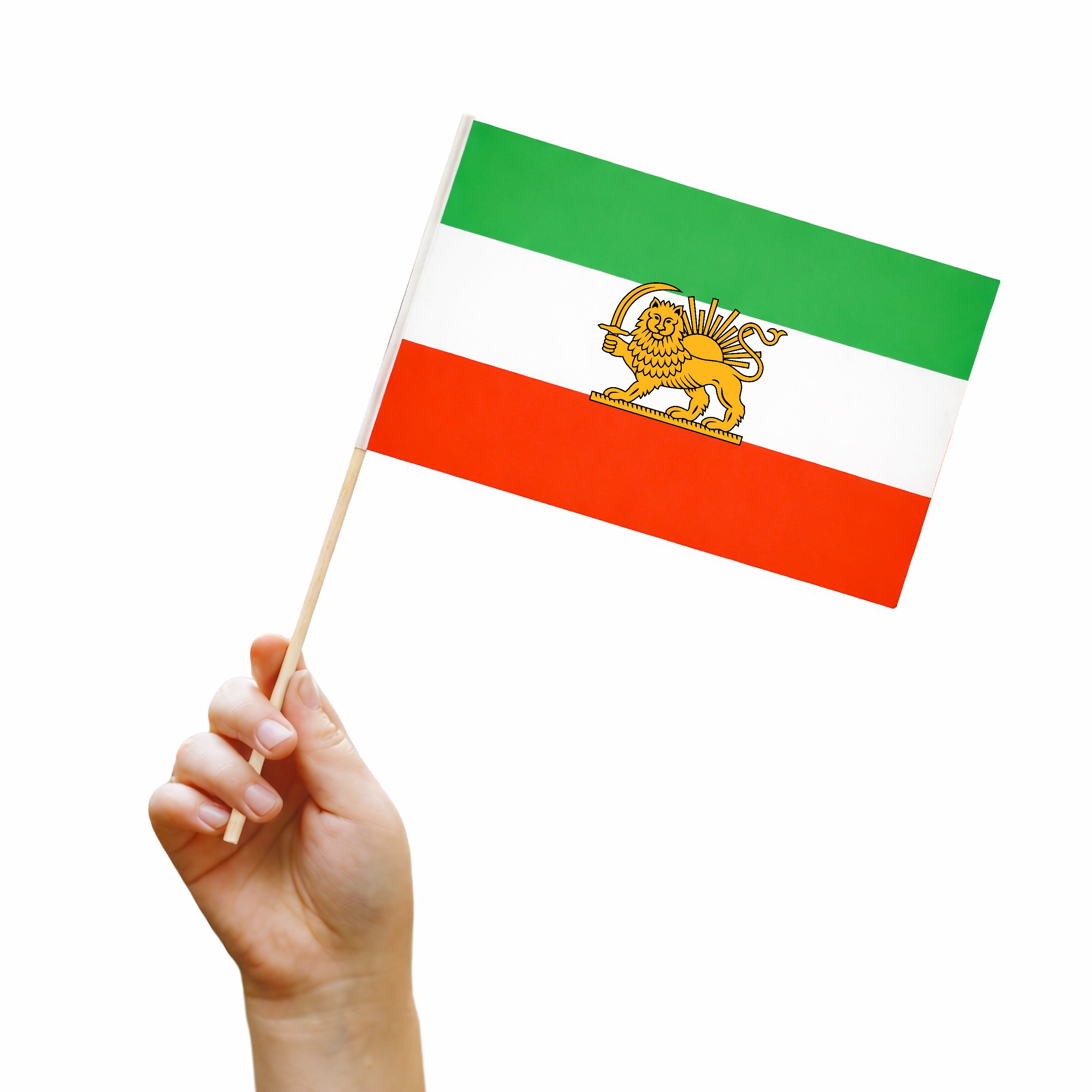 Iran Lion and Sun Hand Flag