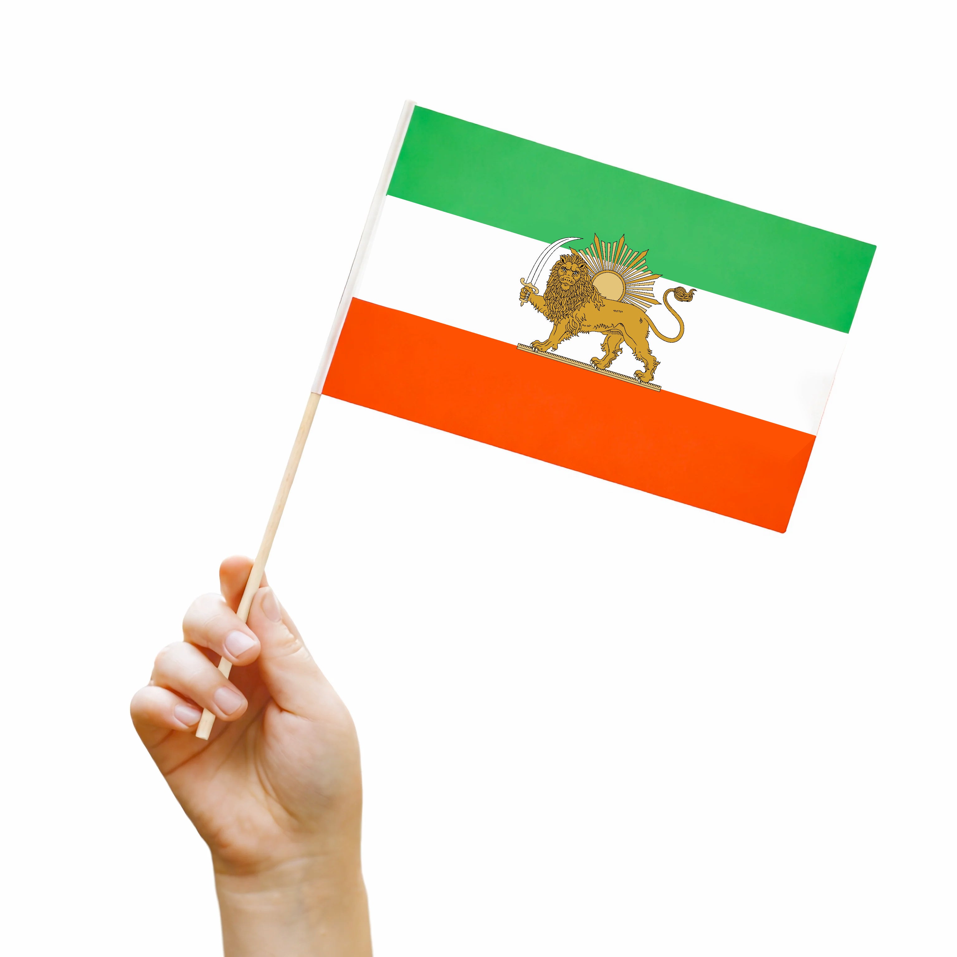 Detailed Lion and Sun Hand Flag