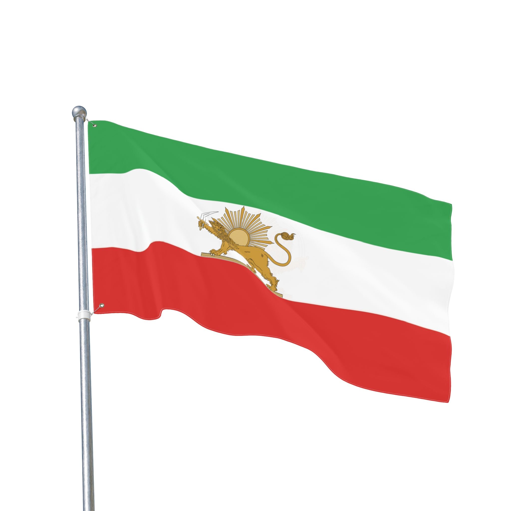 Detailed Lion and Sun Large Flag